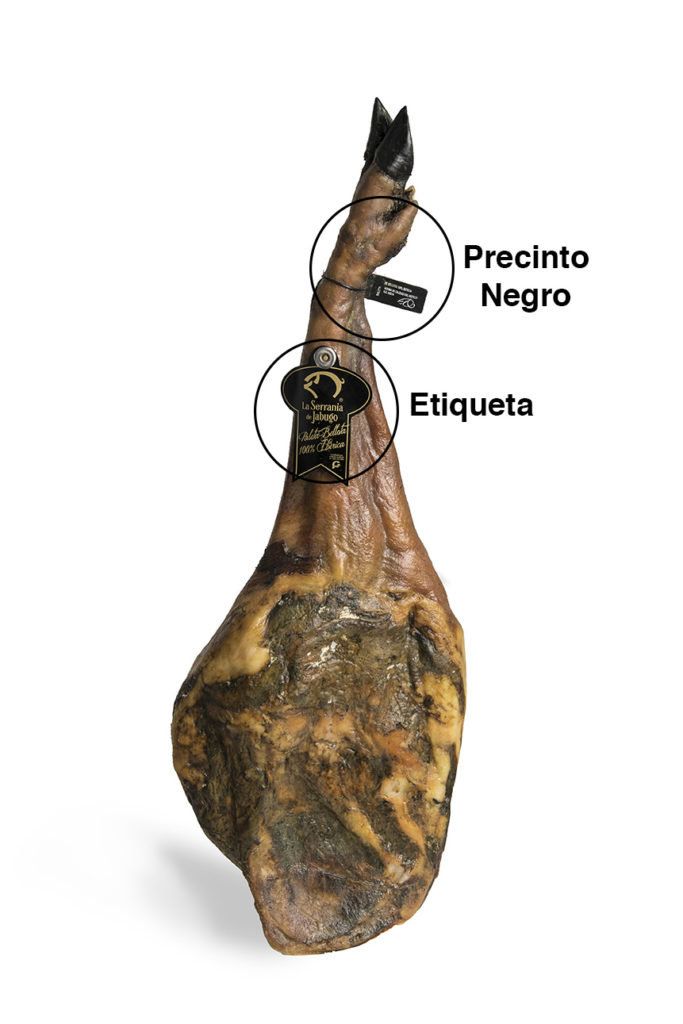 paleta precinto negro