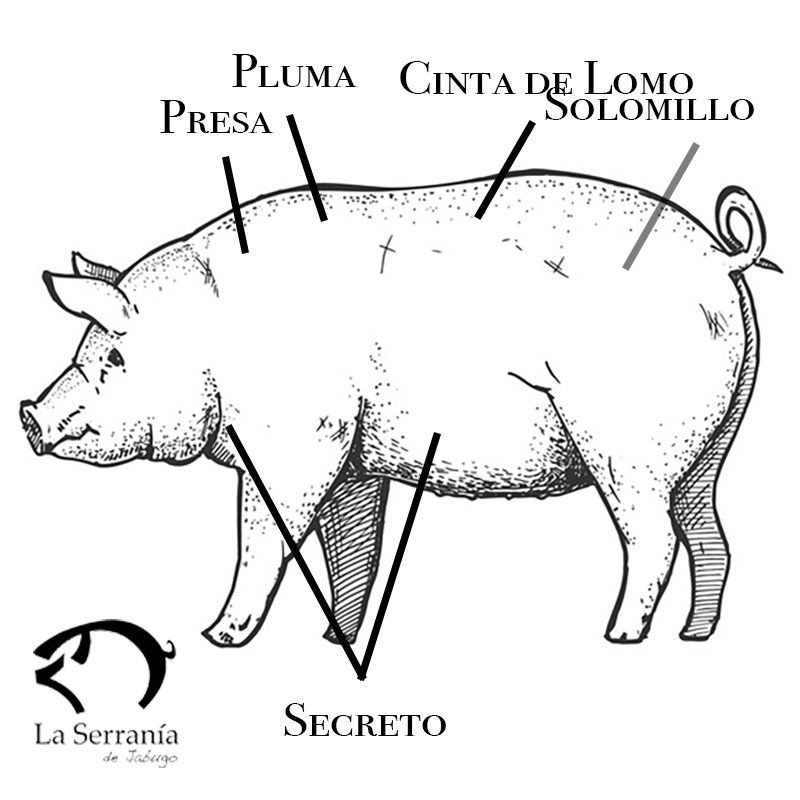 carnes ibéricas frescas